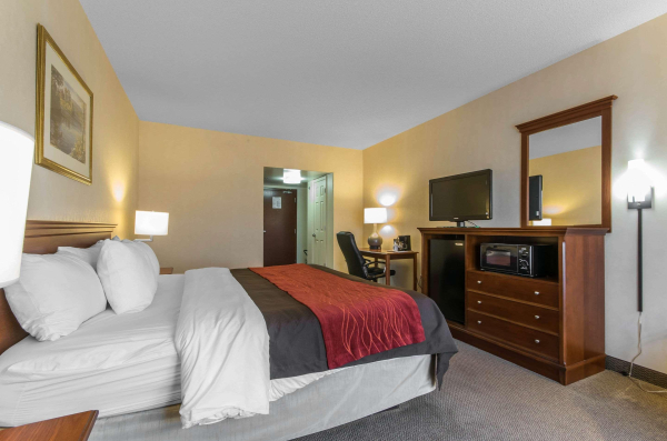 Las mejores ofertas de Comfort Inn & Suites Morehead