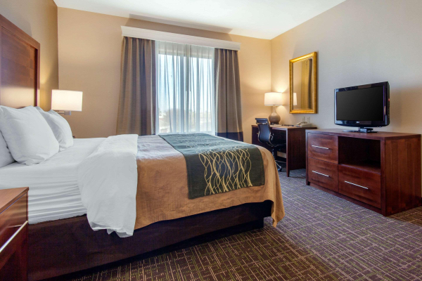 Las mejores ofertas de Comfort Inn & Suites Norman near University Norman