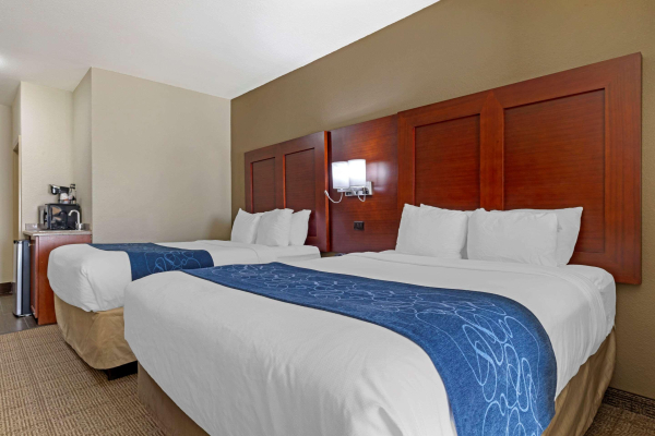 Las mejores ofertas de Comfort Suites Gainesville Gainesville 