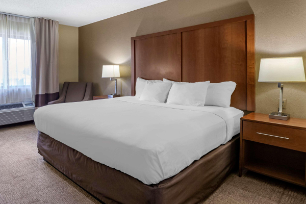 Las mejores ofertas de Comfort Inn Moline - Quad Cities East Moline