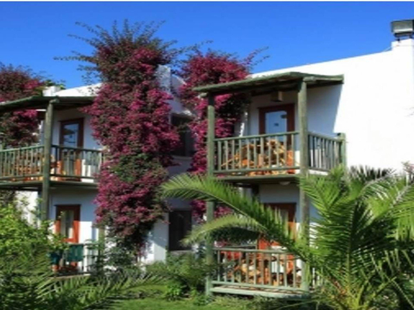 Las mejores ofertas de Parkim Ayaz Bodrum