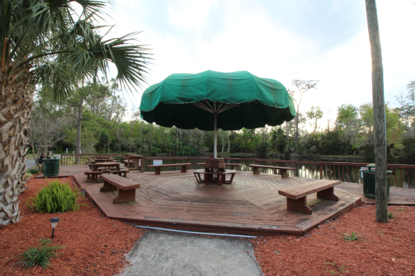 Las mejores ofertas de Tropical Palms Resort & Campground Kissimmee