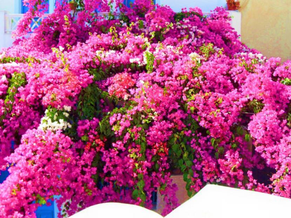 Las mejores ofertas de Kabanaris Bay Rodos 