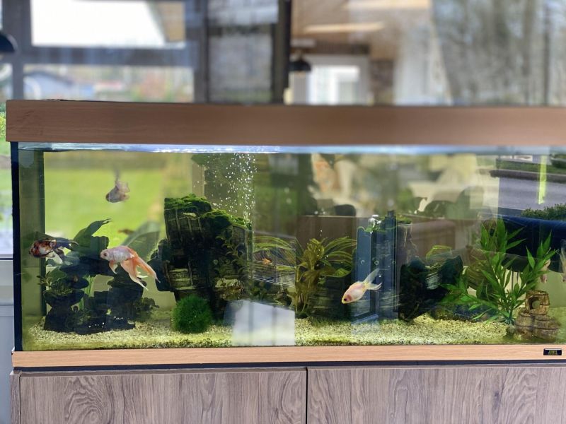 Stone House Hotel A Bespoke Hotel