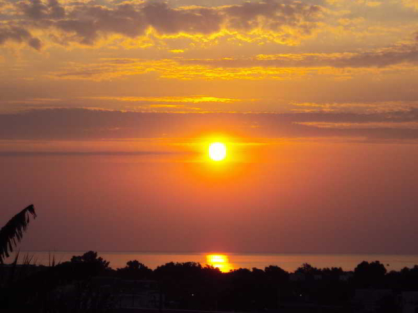 Las mejores ofertas de Iris Afantou