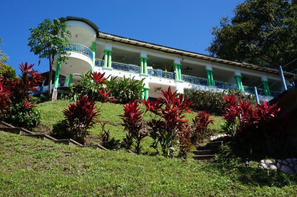 Las mejores ofertas de Mirador de Samara Sámara