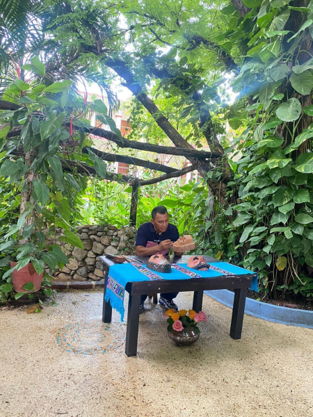 Las mejores ofertas de La Ceiba Chiapa de Corzo Chiapa 