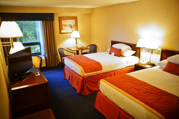 Las mejores ofertas de Wyndham Garden Monterrey Norte Monterrey