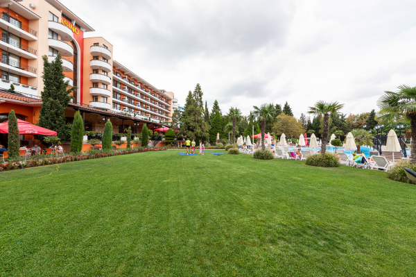 Las mejores ofertas de Hrizantema SUNNY BEACH