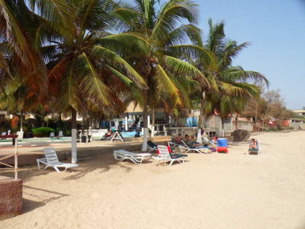 Las mejores ofertas de Africa Queen Saly