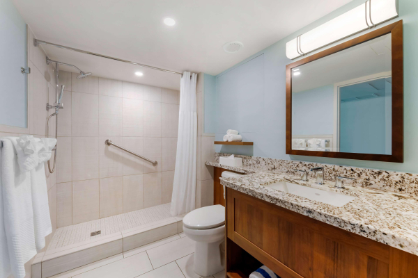 Las mejores ofertas de Hilton Vacation Club Royal Palm St. Maarten St. Maarten