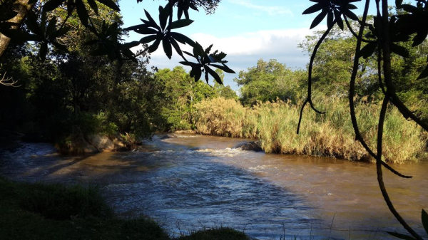 Las mejores ofertas de Gecko Lodge Hazyview 