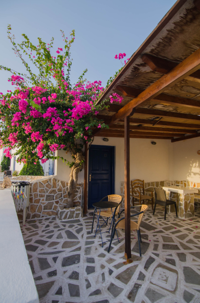 Las mejores ofertas de Skala Ios