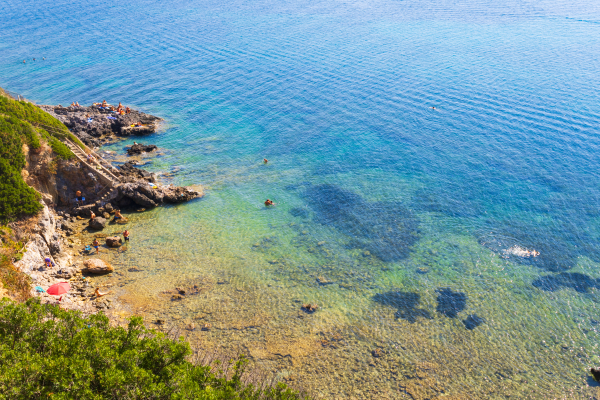 Las mejores ofertas de Il Telamonio Talamona