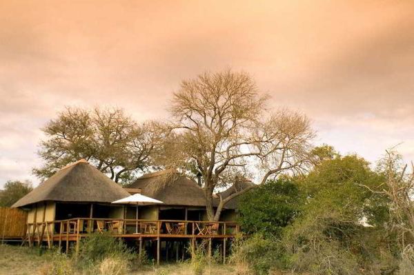 Las mejores ofertas de Camp Shonga Nelspruit 