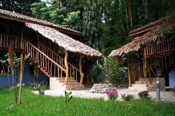 Las mejores ofertas de Cariblue Beach and Jungle Resort TORTUGUERO