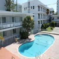 Las mejores ofertas de COLLINS Miami