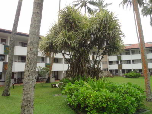Las mejores ofertas de Tangerine Beach Kalutara