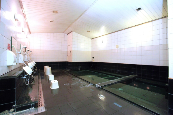 Las mejores ofertas de Narita Tobu Hotel Airport Narita 