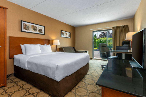 Las mejores ofertas de Comfort Inn Sudbury Sudbury
