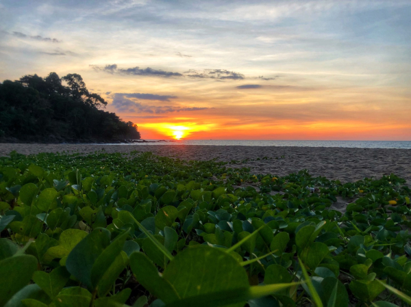 Las mejores ofertas de Khao Lak Palm Beach Resort KHAO LAK