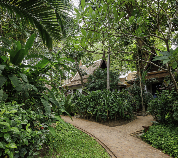 Las mejores ofertas de Anavana Beach Resort Ko Samui 