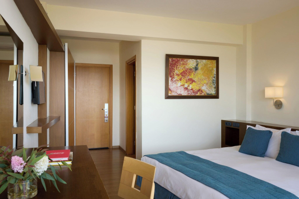 Las mejores ofertas de Domotel Xenia Volos Pilion 