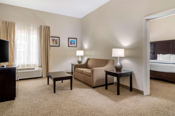 Las mejores ofertas de Comfort Inn & Suites Smyrna Atlanta 