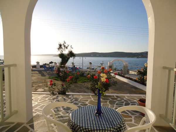 Las mejores ofertas de Stella Paros 