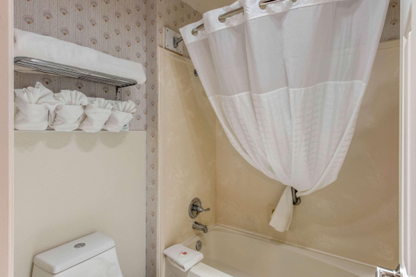 Las mejores ofertas de Comfort Inn Mount Shasta Area Redding
