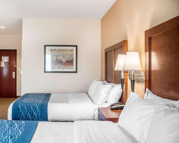 Las mejores ofertas de Comfort Inn & Suites Buffalo Buffalo