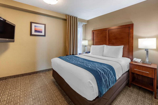 Las mejores ofertas de Comfort Inn (Ventura) Ventura