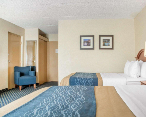 Las mejores ofertas de Comfort Inn West Rochester Rochester