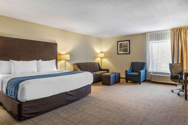 Las mejores ofertas de Comfort Inn Airport Grand Rapids