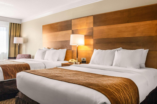 Las mejores ofertas de Comfort Inn & Suites Durango Mesa Verde National Park