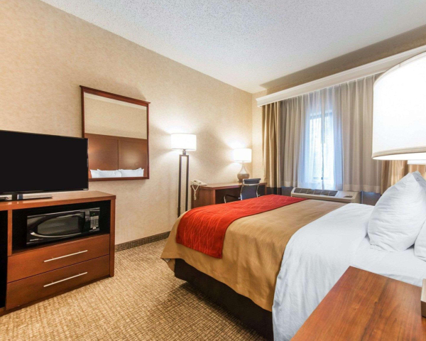 Las mejores ofertas de Comfort Inn North Air Force Academy Colorado Springs 