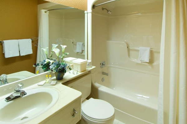 Las mejores ofertas de Comfort Inn Owen Sound Owen Sound