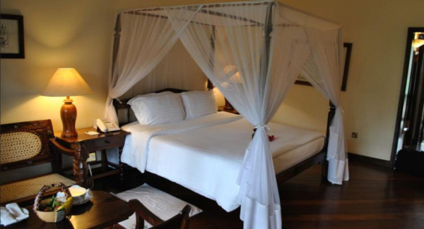 Las mejores ofertas de Safari Park Nairobi