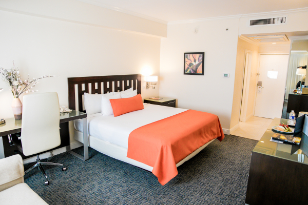 Las mejores ofertas de Jamaica Pegasus Kingston 