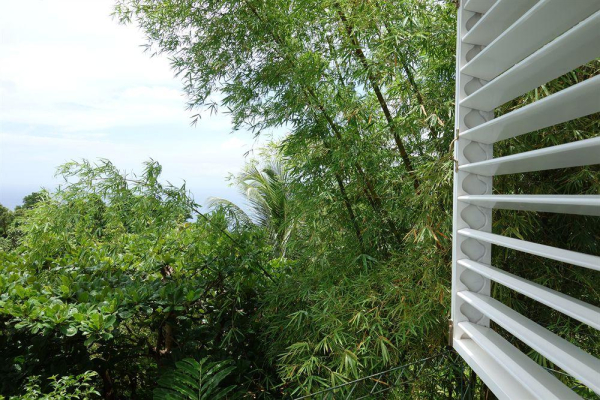 Las mejores ofertas de Mockingbird Hill Port Antonio