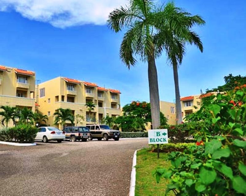 Las mejores ofertas de El Greco Montego Bay 