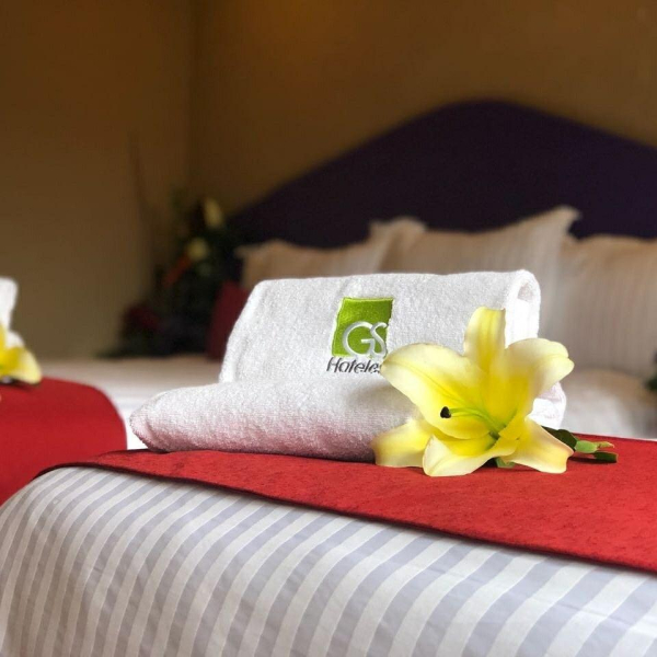 Las mejores ofertas de Quinto Sol Teotihuacán