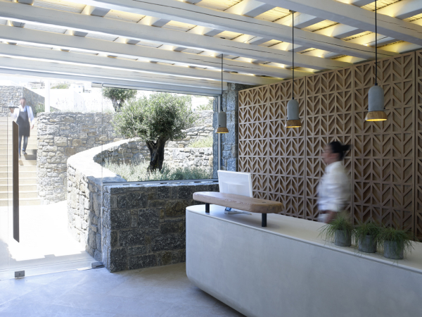 Las mejores ofertas de Bill & Coo Coast Suites -The Leading Htls Mikonos 