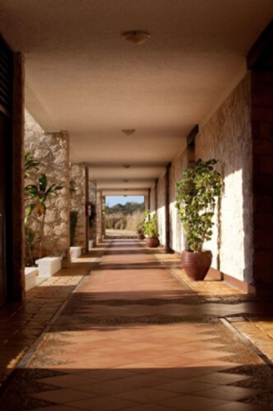 Las mejores ofertas de Tucan Siho-Playa Champotón 