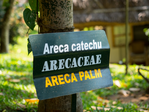 Las mejores ofertas de Spice Village-CGH Earth Theakada 