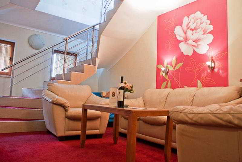 Las mejores ofertas de Light Sofia