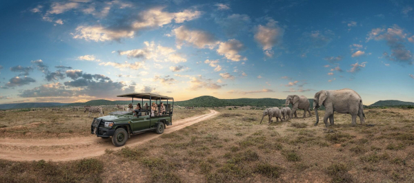 Las mejores ofertas de Four Seasons Hotel The Westcliff Johannesburg Johannesburgo