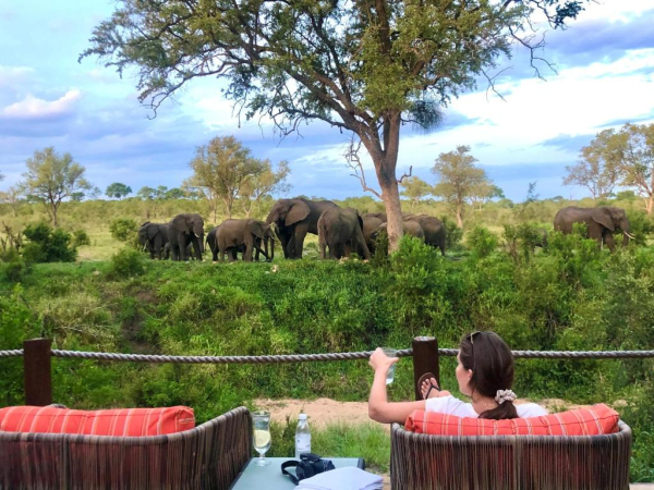 Las mejores ofertas de Hoyo Hoyo Safari Lodge Nelspruit 