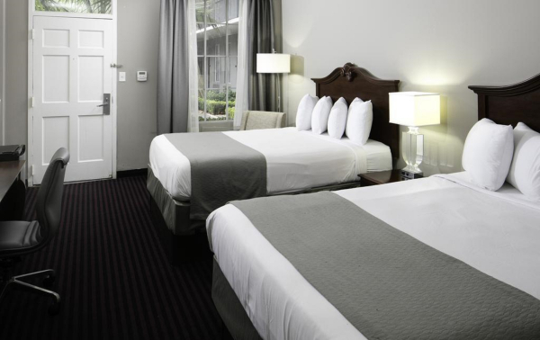 Las mejores ofertas de Maison St Charles Hotel and Suites New Orleans 