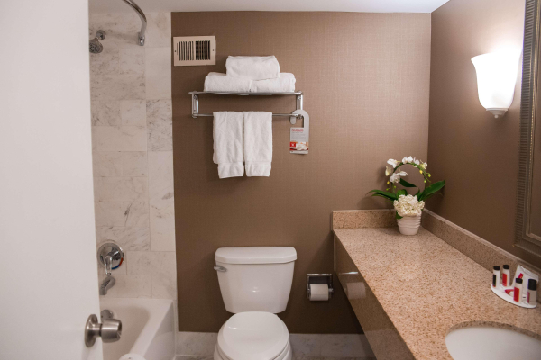 Las mejores ofertas de Ramada Plaza by Wyndham Atlanta Downtown CapitolPk Atlanta
